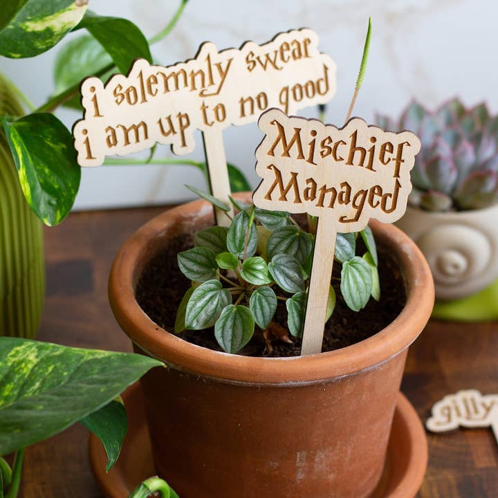 The Print Pantry - Wholesale Garden/Lawn Stake - Harry Potter Wooden Plant Markers5