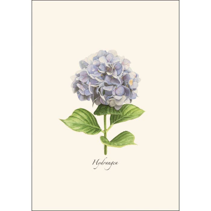 Earth Sky + Water - Wholesale Stationery/Notecard Set - Hydrangea Recycled Paper Notecard Set1