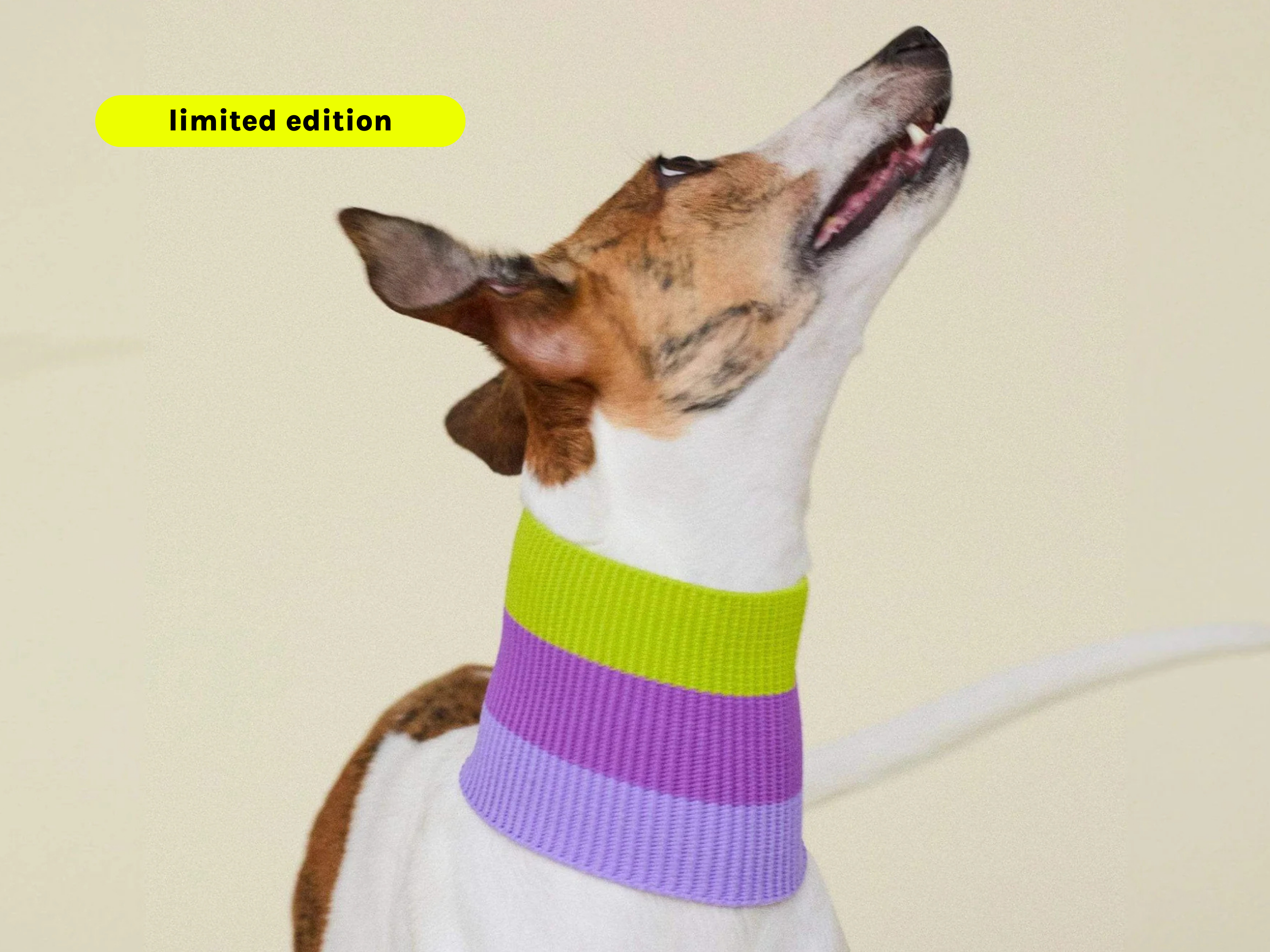 VIOLA SPRING THE GLOW LOOP (violet) for wholesale on Faire0