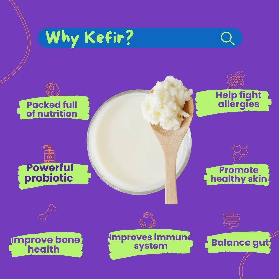 Wonderfur - Wholesale Pet treats – Cat - Wonderfur Bites Senior Support for Cats3