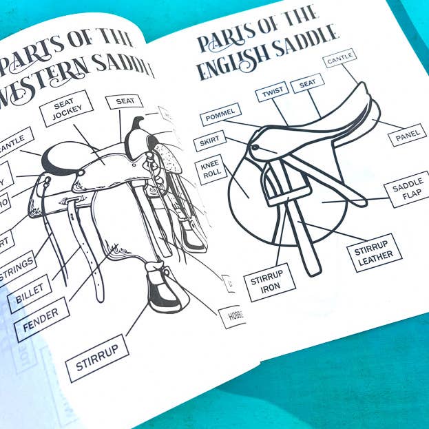 Circus Unicorn Shop - Wholesale Education Book - The Riding Student's Horse Workbook8