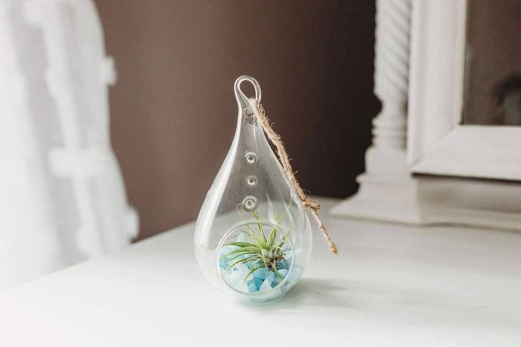 The Simply Crafty Shop - Wholesale Terrarium - Pear Shape Terrarium Kit- Semi-Precious Stone42