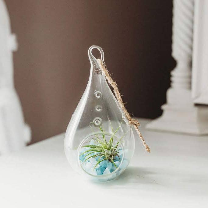 The Simply Crafty Shop - Wholesale Terrarium - Pear Shape Terrarium Kit- Semi-Precious Stone42