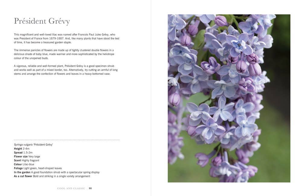 Gibbs Smith - Wholesale Home & Garden - Lilacs: Beautiful Varieties for Home & Garden2