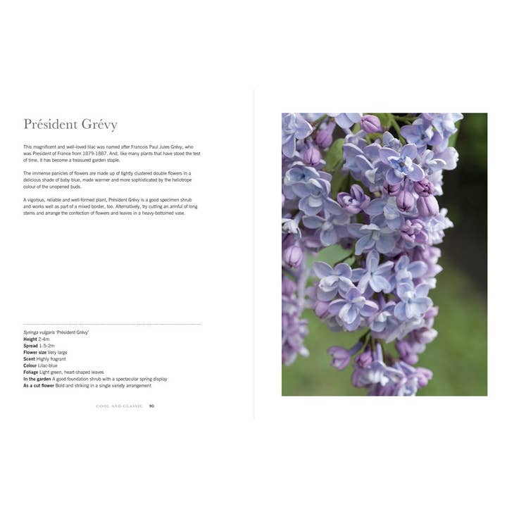 Gibbs Smith - Wholesale Home & Garden - Lilacs: Beautiful Varieties for Home & Garden2