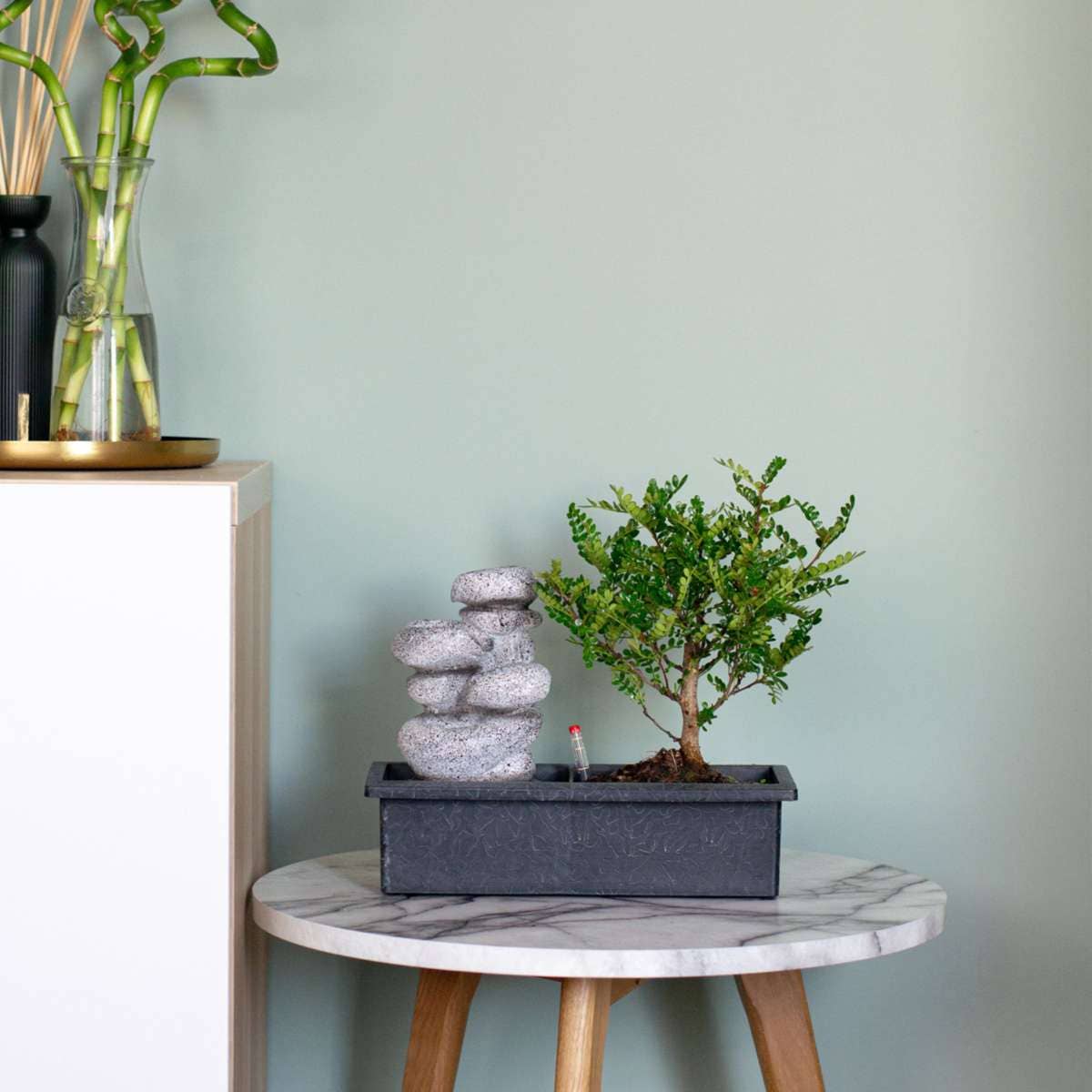 Oasis of Life - Wholesale Live Plant - Bonsai - Set of 2 Chinese bonsai trees - approx. 5 years old - with Easy Care System & water level indicator - Decorative Zen arrangement with stones & mini waterfall - Easy to care for & durable - Height 25–35cm - Ø29cm4