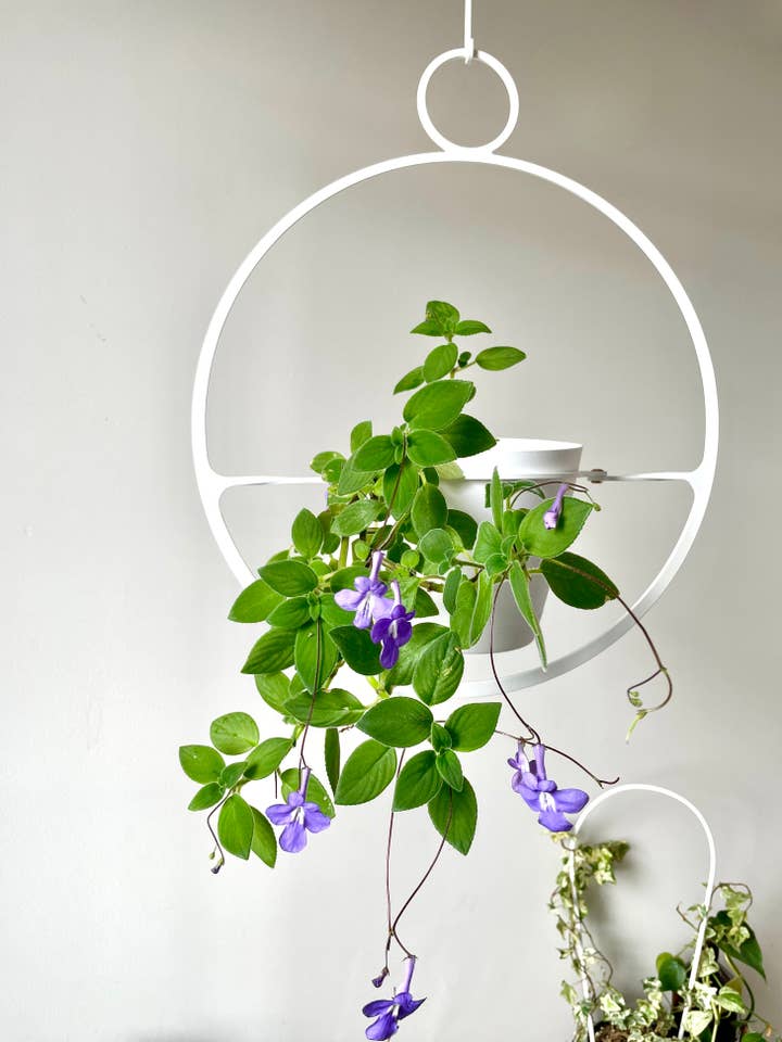 Circle Plant Hanger Large for wholesale by Iron Ivy