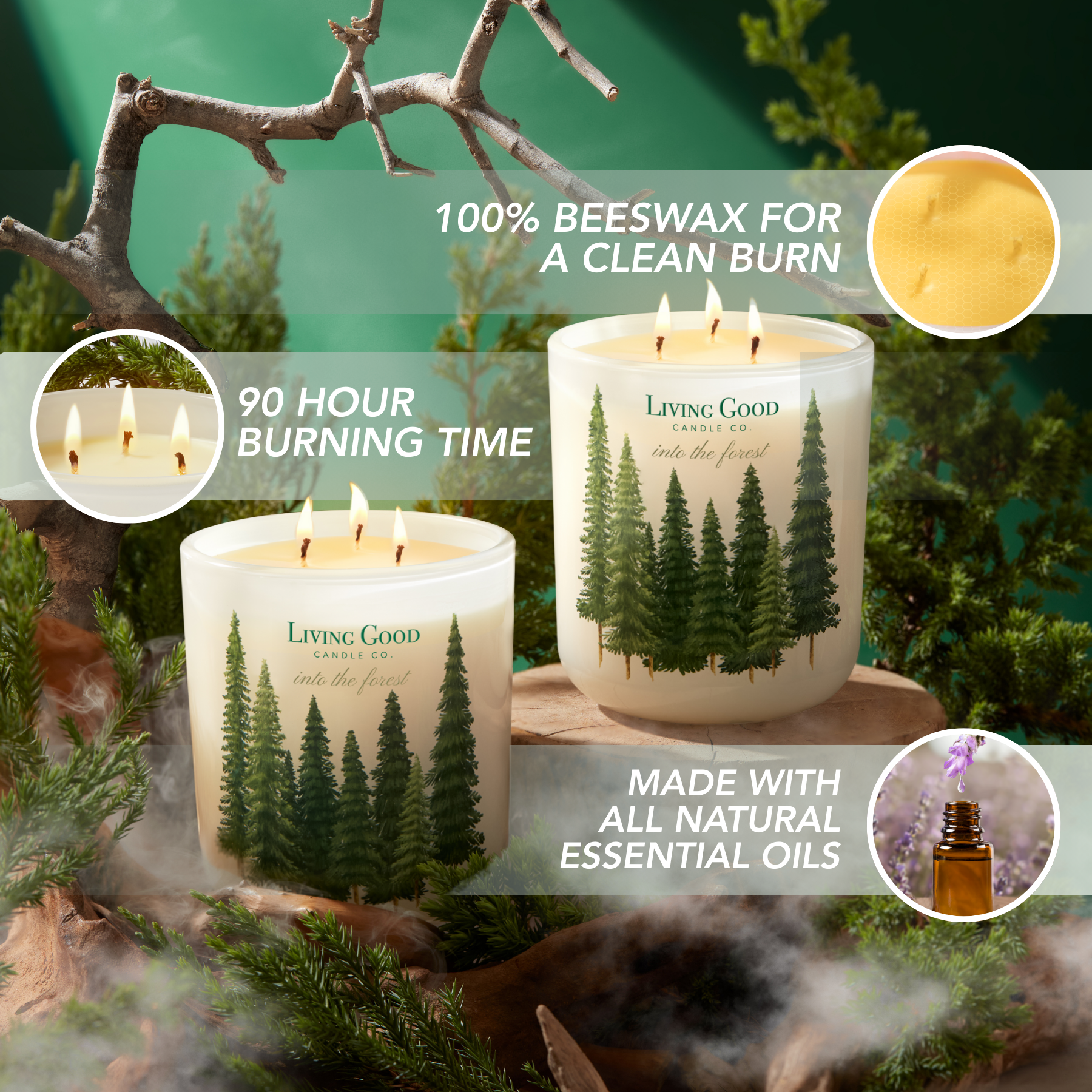 Living Good Candle Co. - Wholesale Jar/Filled Candle - Into The Forest - Beeswax Candle - Pine & Eucalyptus3