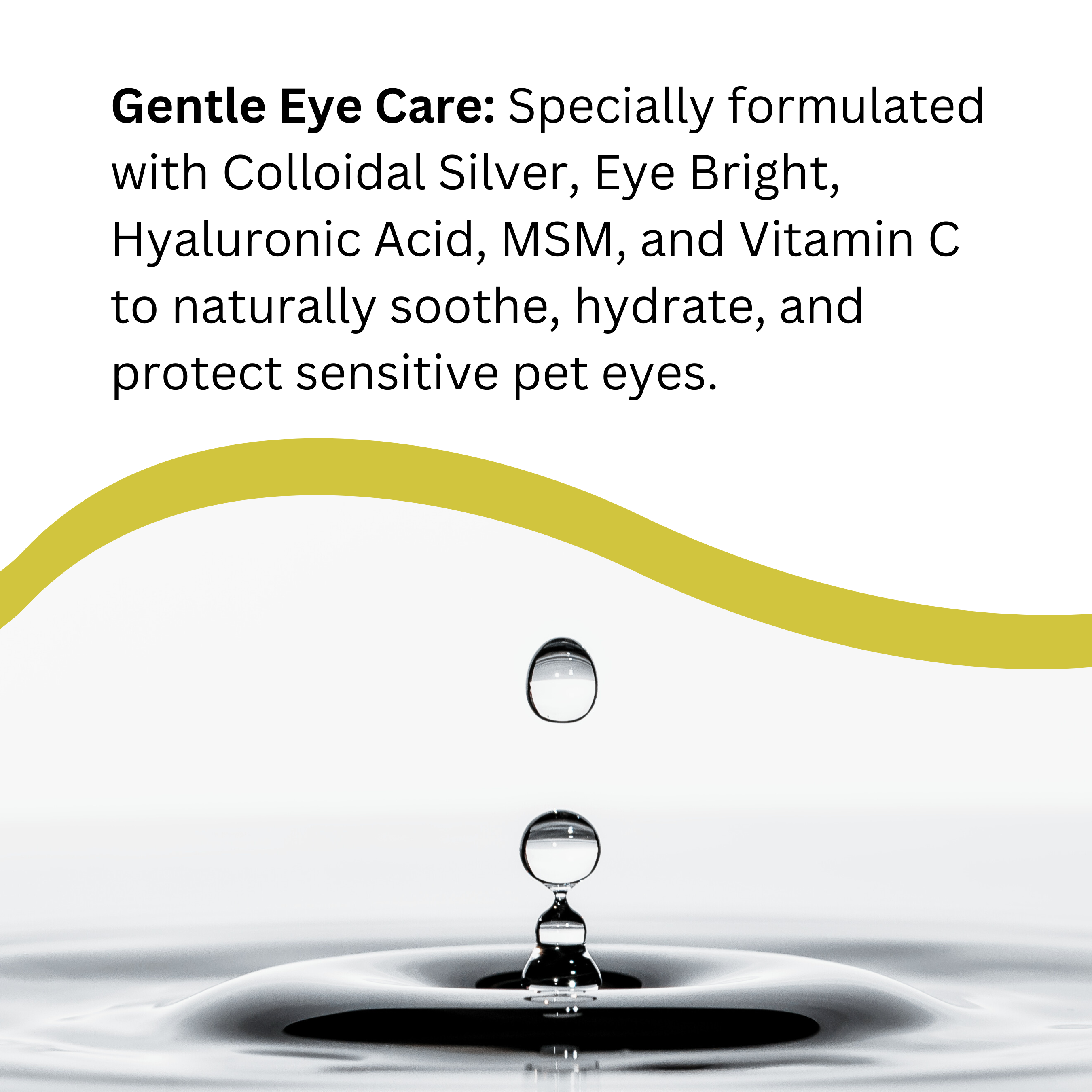 Natures Greatest Secret – wholesale Pet spray – Dog – NEW Natural Antibacterial Colloidal Silver Pets Eye Drops3