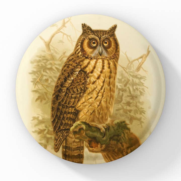 Spilla Gufo Madagascar, Portachiavi Gufo, Magnete Gufo per la vendita all'ingrosso da parte di NatureCuts