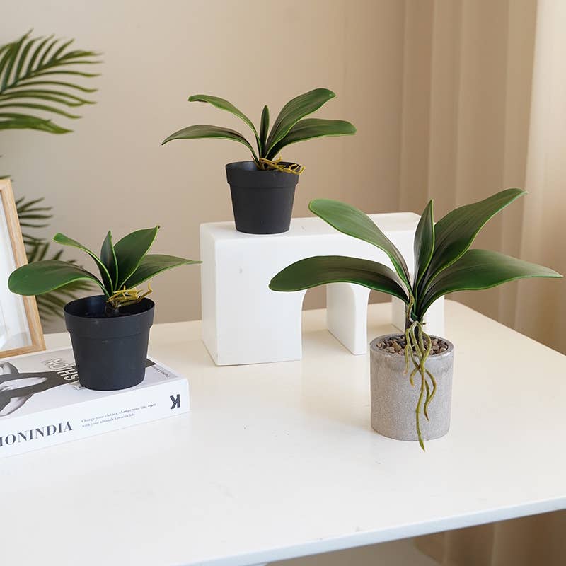 Angel Isabella - Wholesale Artificial Plant - 10"Ultra Soft-Artificial Soft Touch Orchid Leaves1
