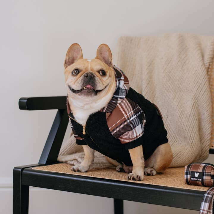 Frenchie - Wholesale Pet Hoodie - Dog - Frenchie Dog Hoodie - Cocoa Plaid7