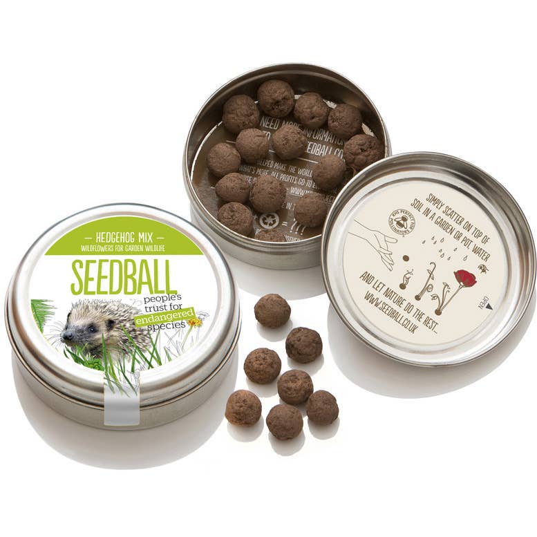 Seedball - Wholesale Plant Seeds - Hedgehog Mix Seedball Tin1