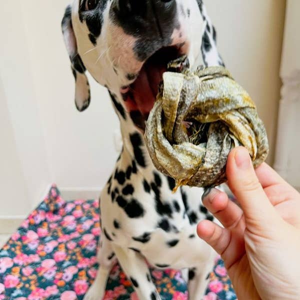 Kivo Petfood - Wholesale Pet Treats - Dog - Dog snack - Cod donut - 200g1