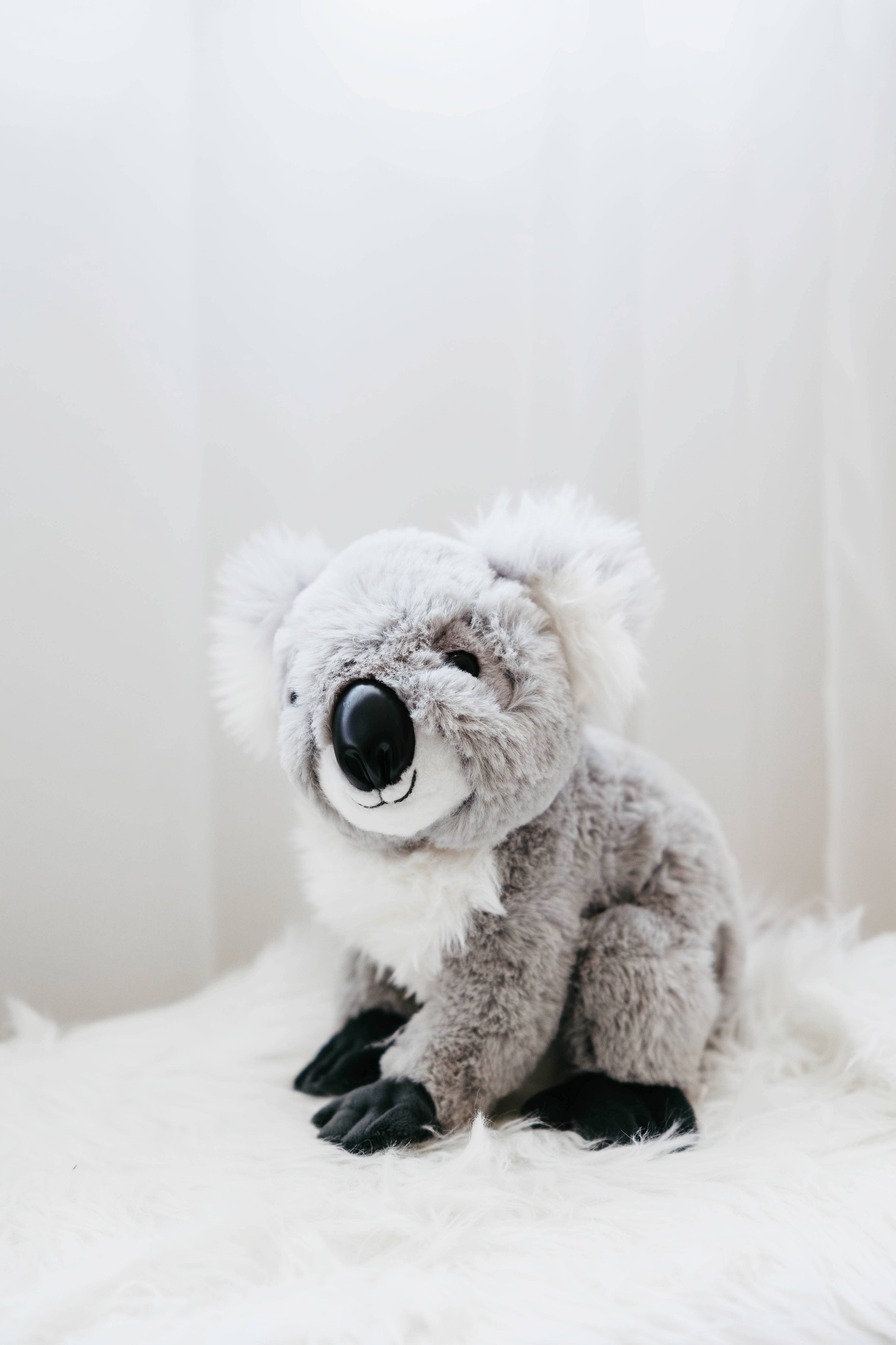 The Petting Zoo – Engroshandel Plyslegetøj - Børn og baby – 12" (26 cm) Wild Onez Koala Bamse Plysdyr13