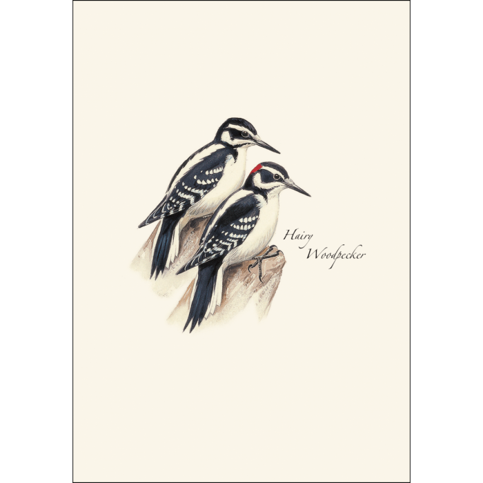 Earth Sky + Water - Vente Assortiments de papeterie/cartes - Assortiment de pics de Peterson4