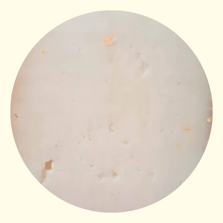 Gourm.it - Wholesale Cheese - Capralpina. 100% Alpine goat cheese. Made in Italy.1