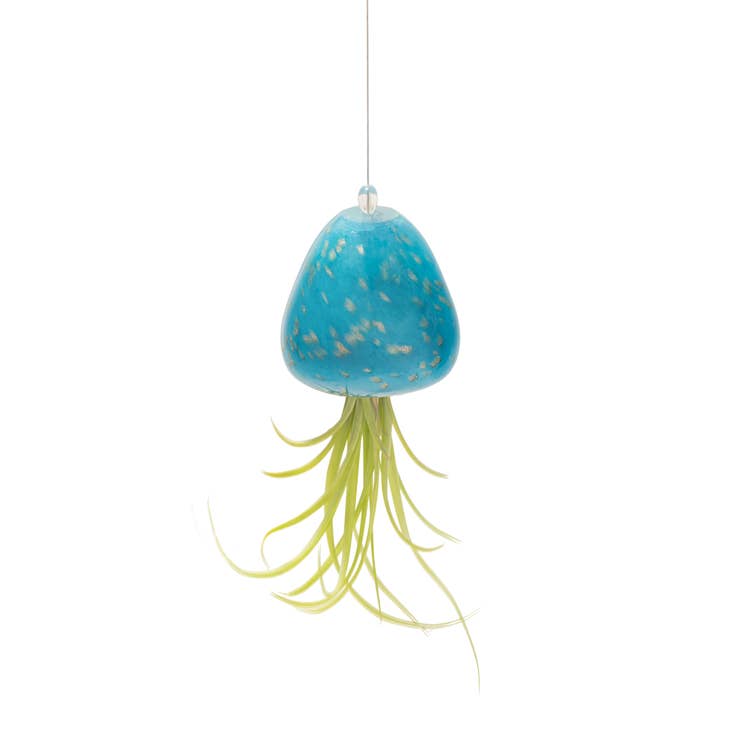 Grand porte-plantes en verre soufflé à la main pour méduses en vente B2B  pour votre magasin – Faire Belgique