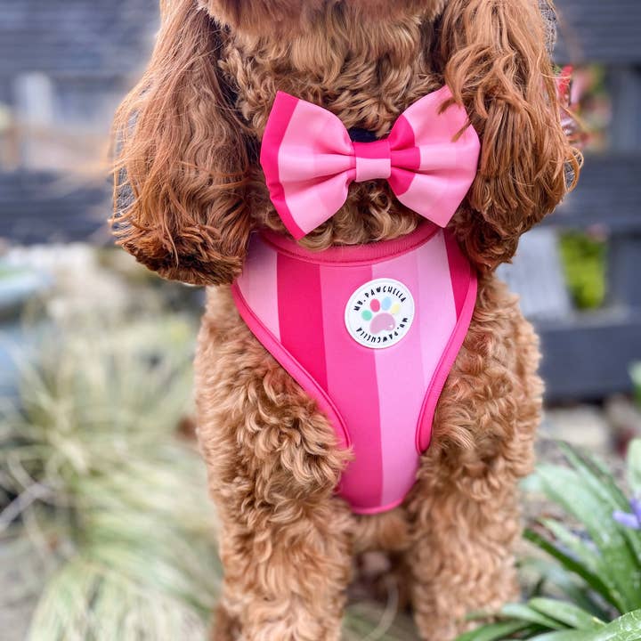 Adjustable - Shades of Barbie pink for wholesale by My Pawchella