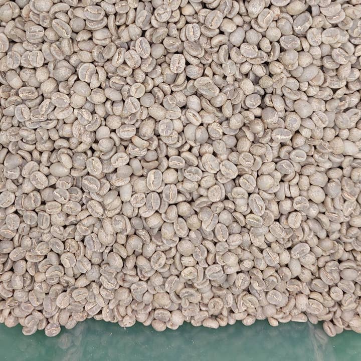 Big Beans USA - Wholesale Coffee Beans - Big Beans Washed Green Coffee Beans Fresh Unroasted 48lbs