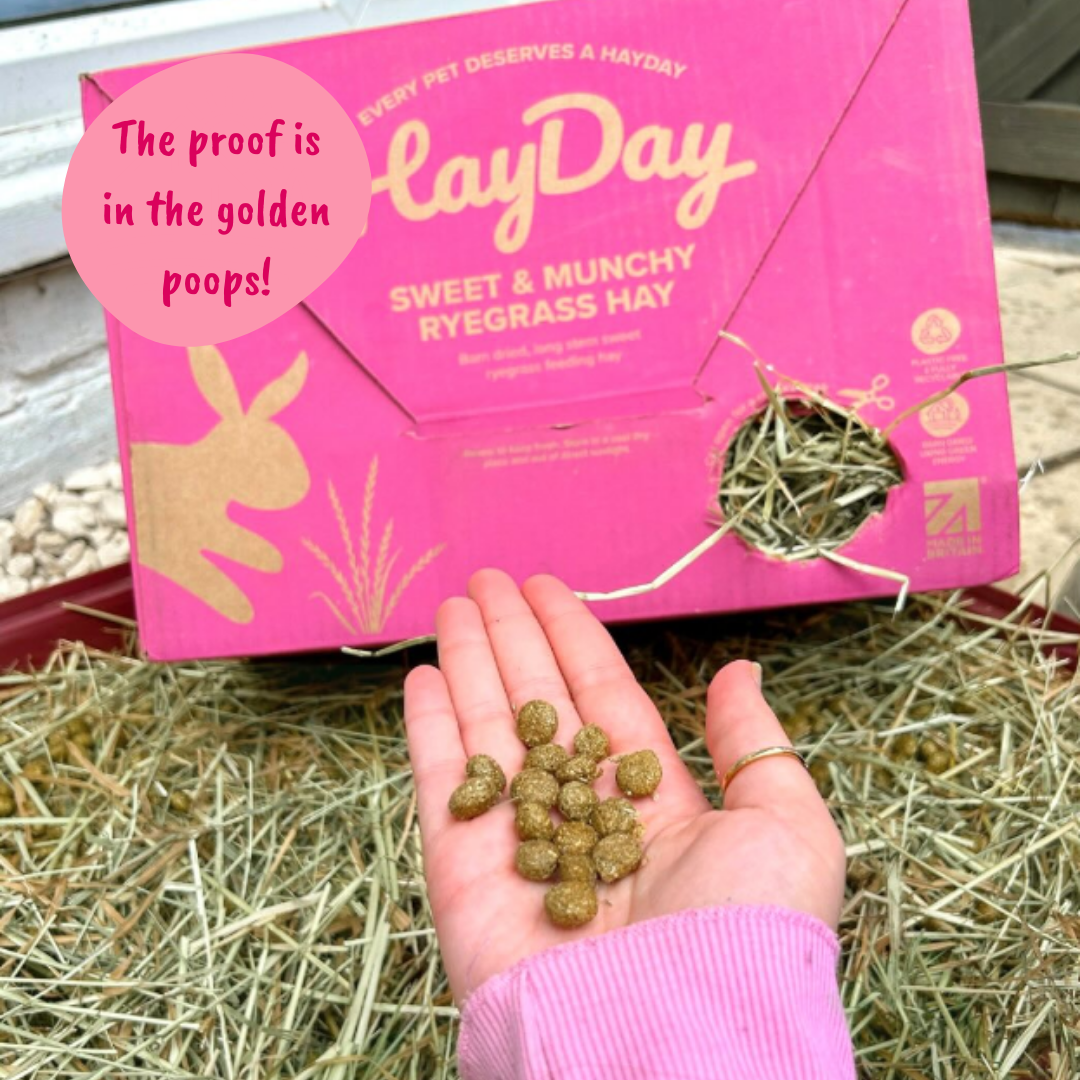 HayDay – wholesale Pet food – Not cat/dog – Sweet and Munchy Ryegrass Hay 1kg8