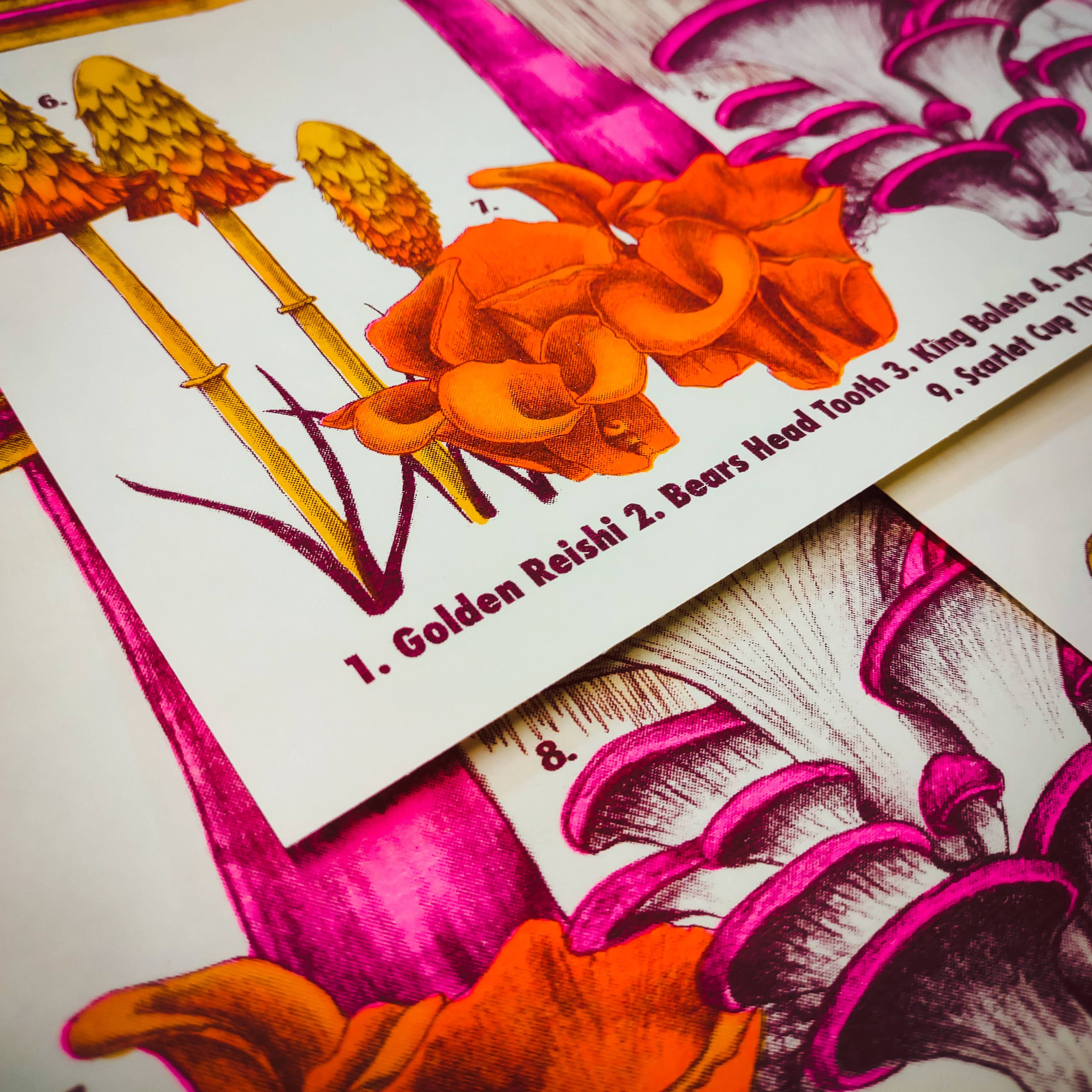 Psychedelic Lens - Wholesale Art Print - Mushrooms of the NE2