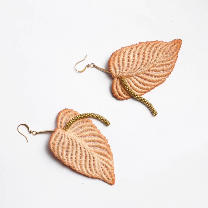 Anthurium for wholesale by This Ilk