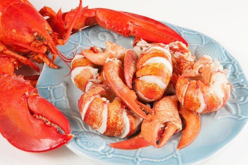 All Fresh Seafood - Wholesale Fish/Seafood - Maine Lobster Meat, Knuckle, Claw & Tail, All Natural, 1 LB.