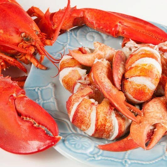 All Fresh Seafood - Wholesale Fish/Seafood - Maine Lobster Meat, Knuckle, Claw & Tail, All Natural, 1 LB.0