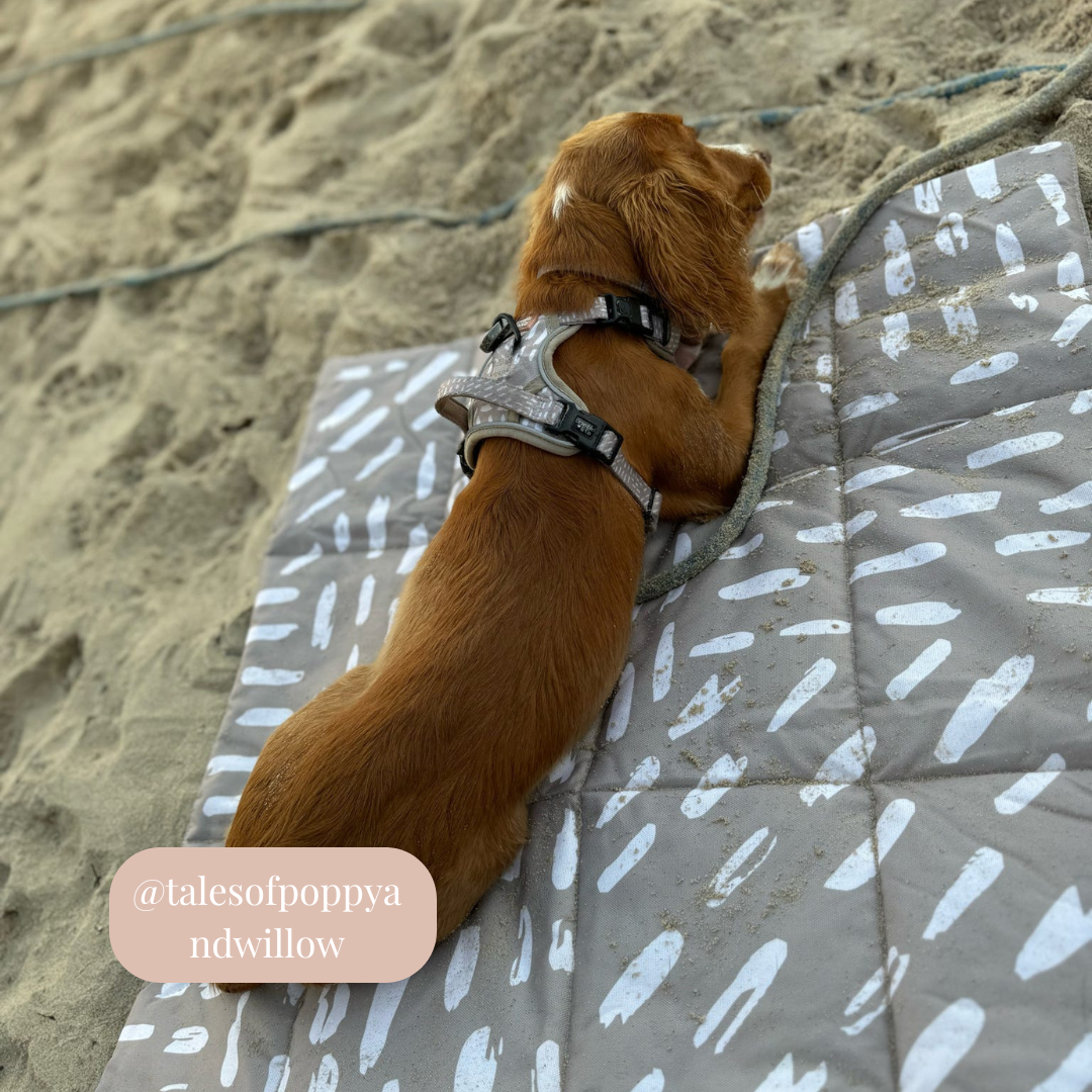 Bramble & Co - Venta al por mayor Esterilla - Perros - Alfombrilla de Viaje - La Neutralidad de los Sentimientos13