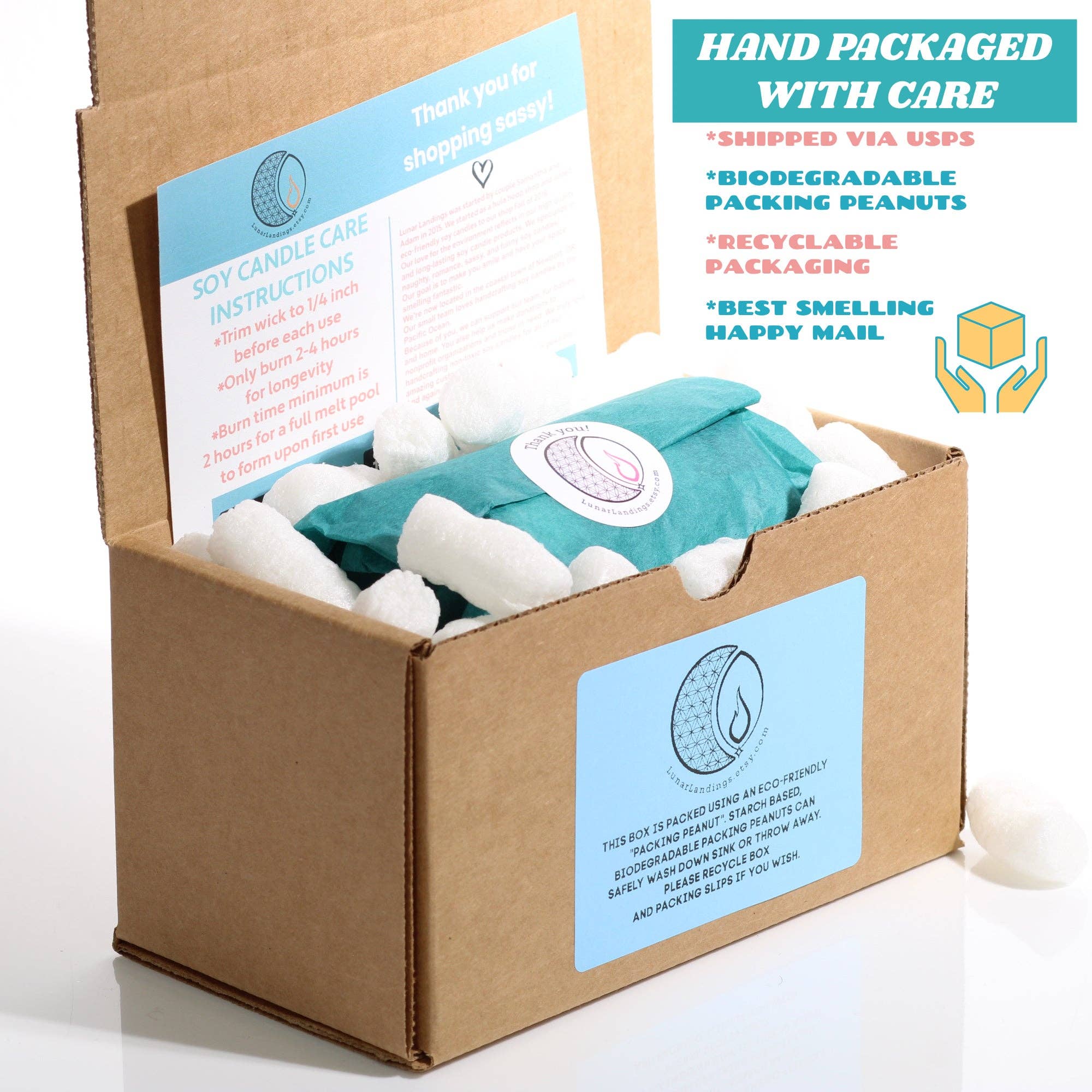 Lunar Landings – Engroshandel Glaslys – Sort Hindbær Vanilla Soja5