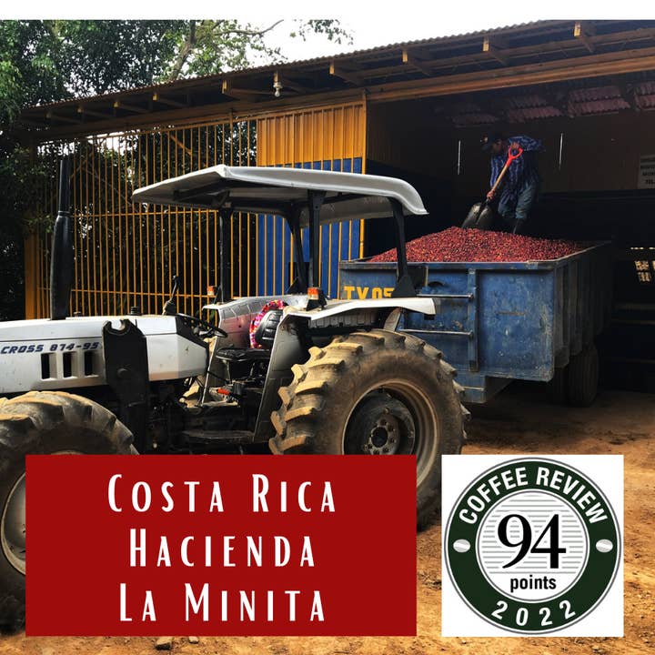 Costa Rica Hacienda La Minita Estate for wholesale by RamsHead Coffee Roasters