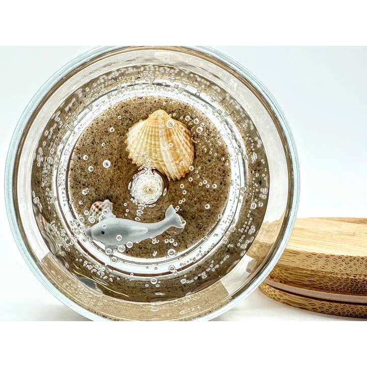 Devonian Coast - Wholesale Novelty Candle - Dolphin Beach Gel Candle – Medium 6oz Wax1