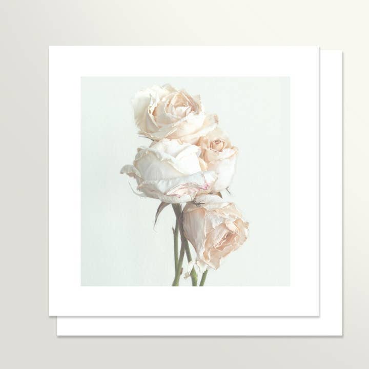 Roses for wholesale by Springamajig Press