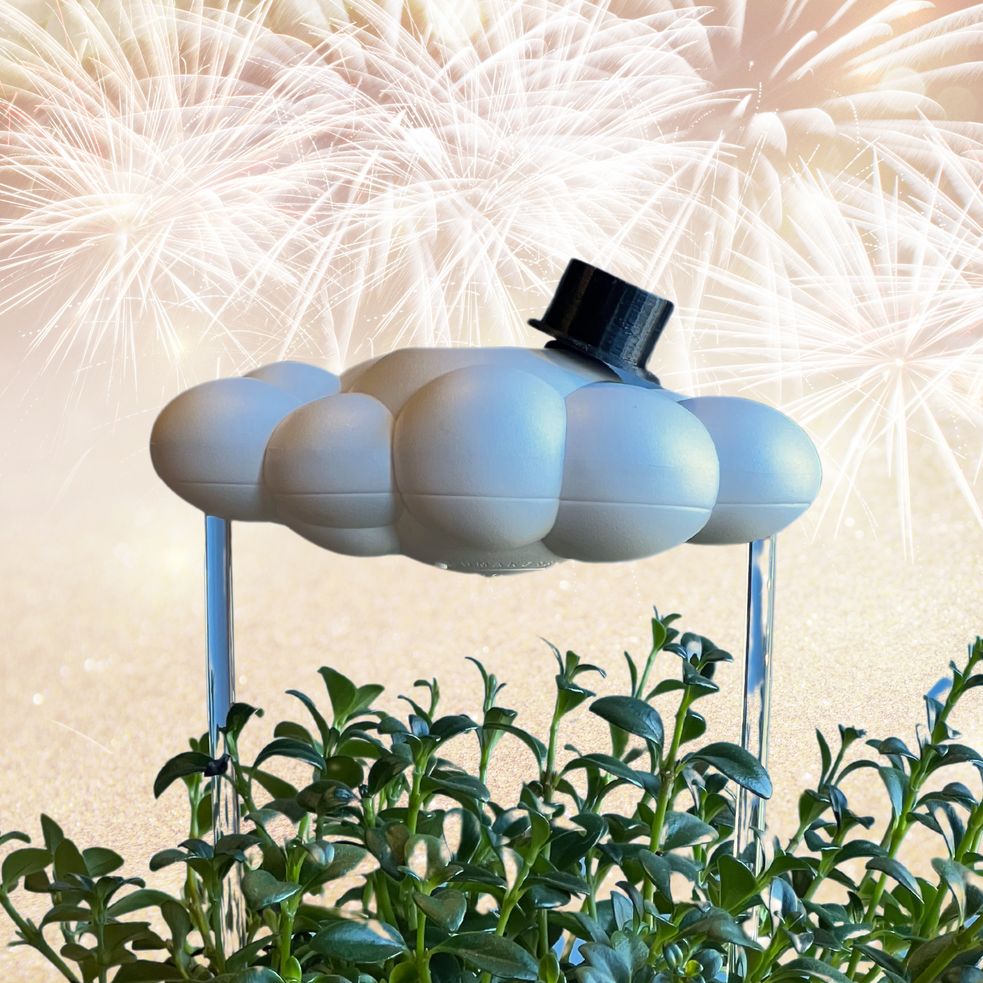 The Cloud Makers - Vente Pot - Charme de Haut-de-forme9