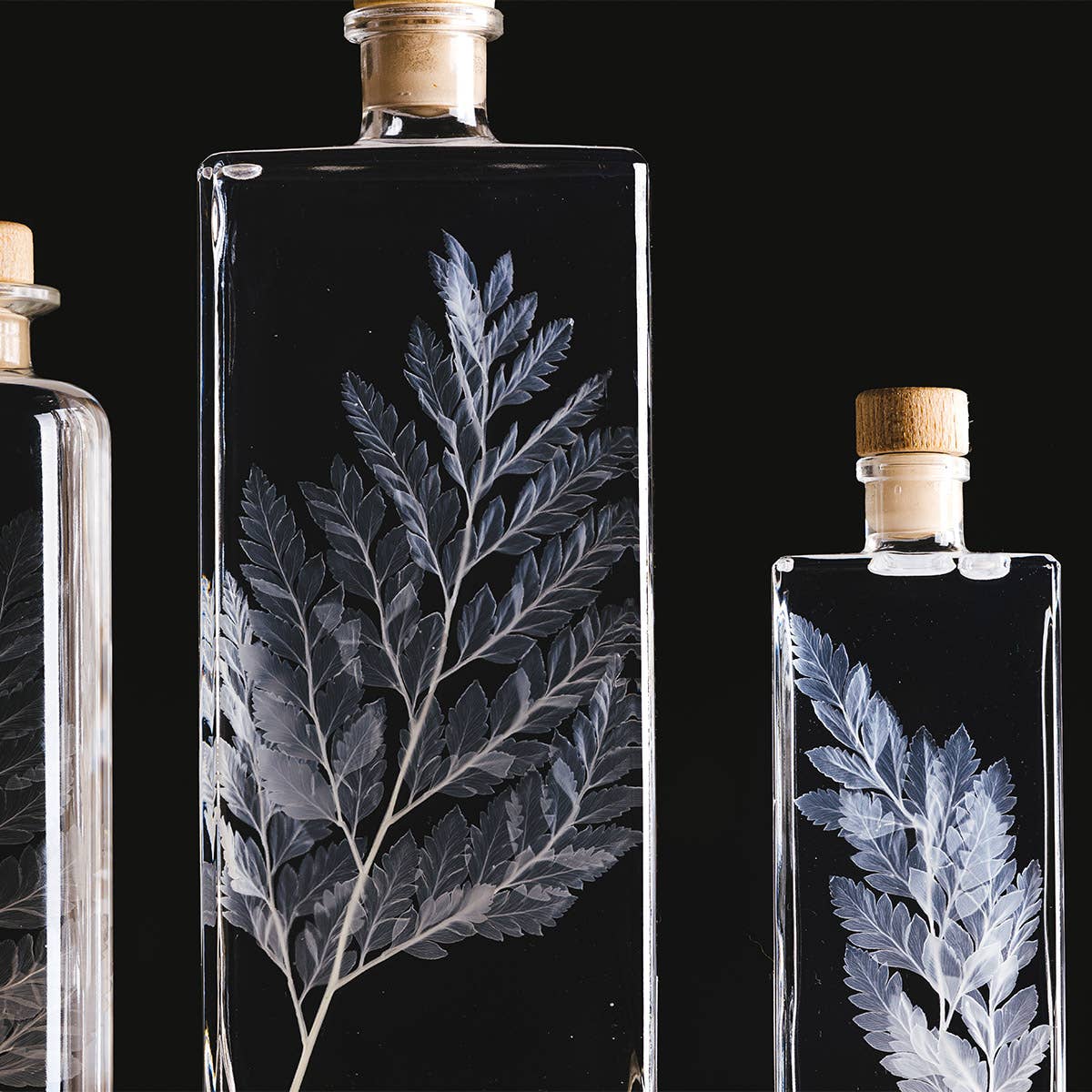 Theophile Berthon - Venta al por mayor Plantas naturales - Cuero blanco de helecho de herbario - planta sumergida4