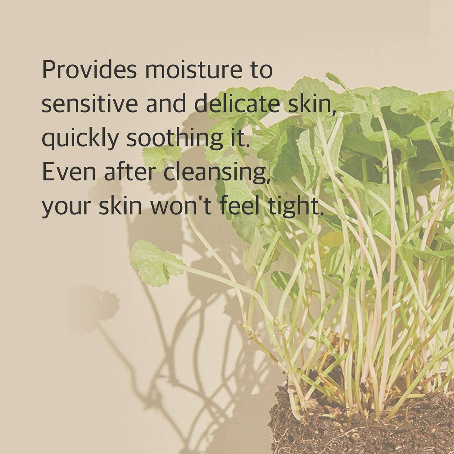 Glowiss - Wholesale Facial Cleanser - Mixsoon Centella Cleansing Foam 5.07 fl oz/ 150ml5