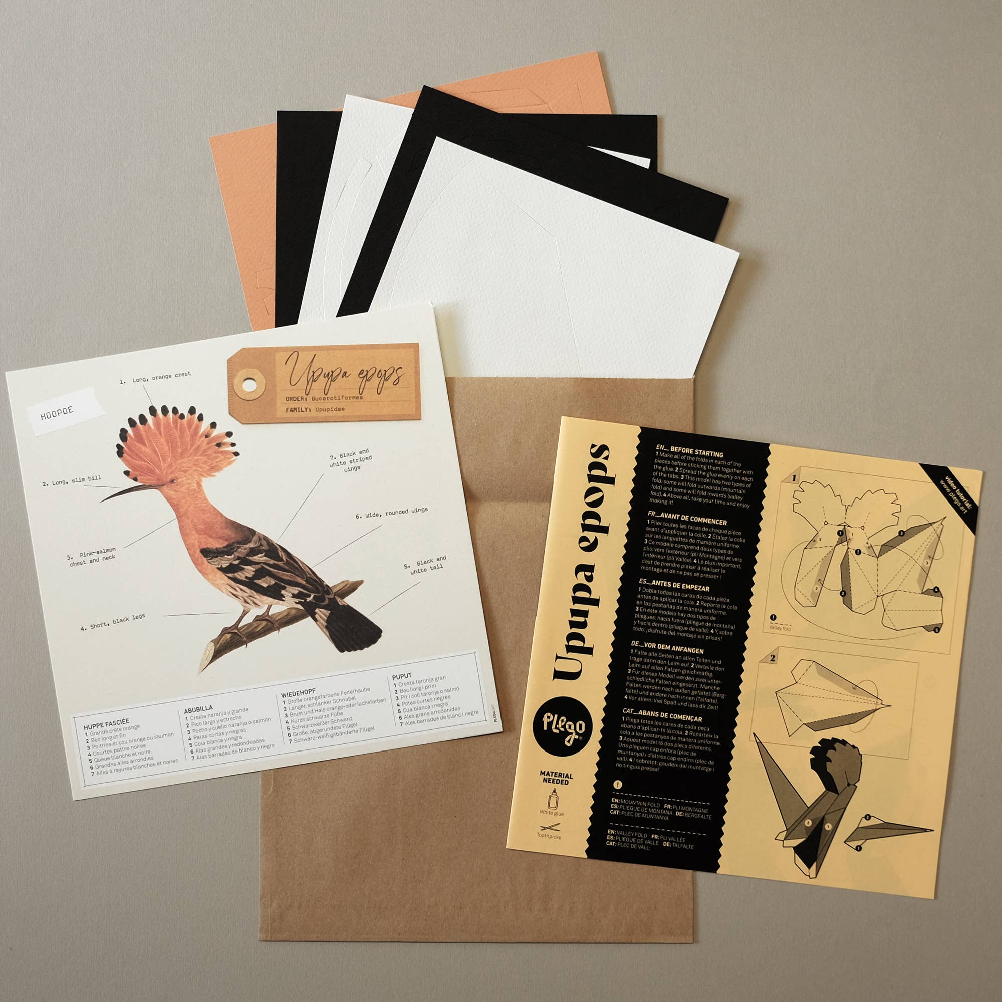 PLEGO - Wholesale DIY Craft Kit - UPUPA EPOPS - paper bird2