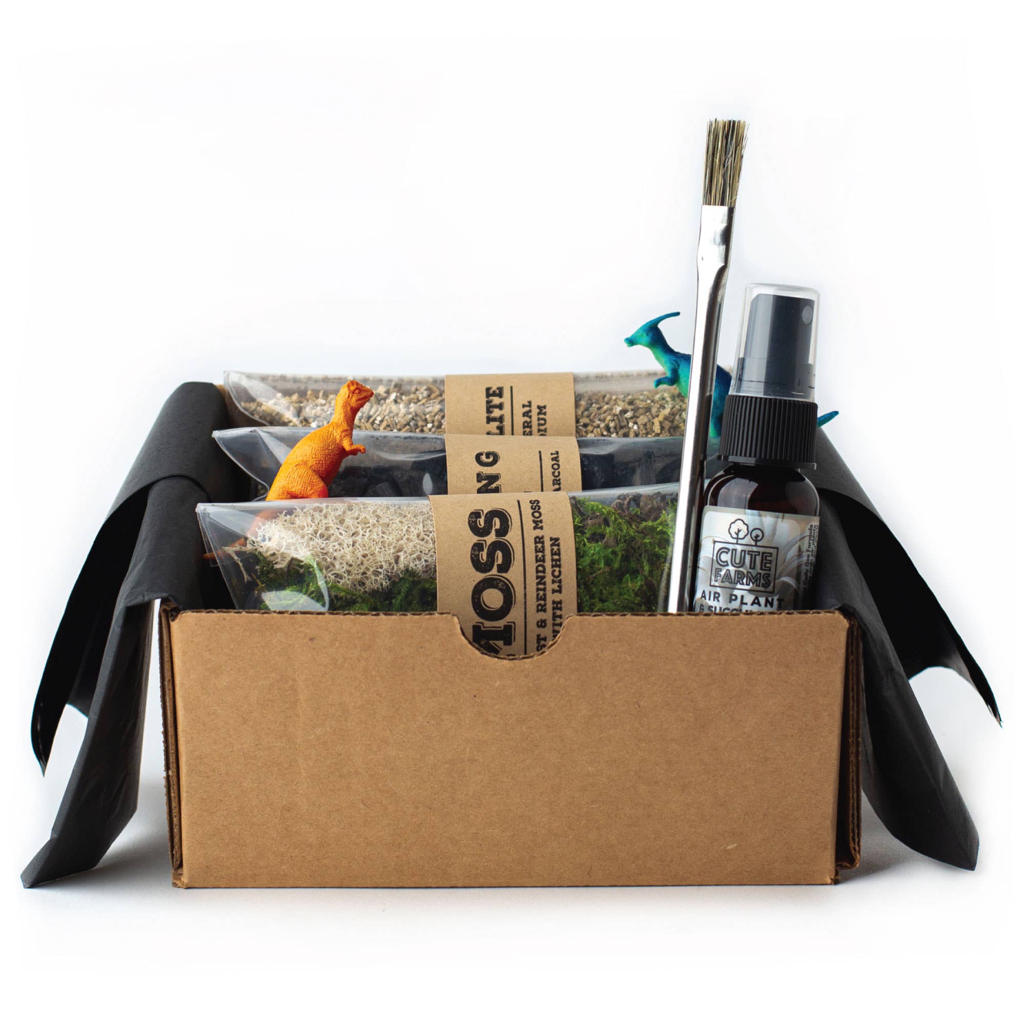 Cute Farms - Vente Kit de bricolage - Kit de démarrage pour terrarium1