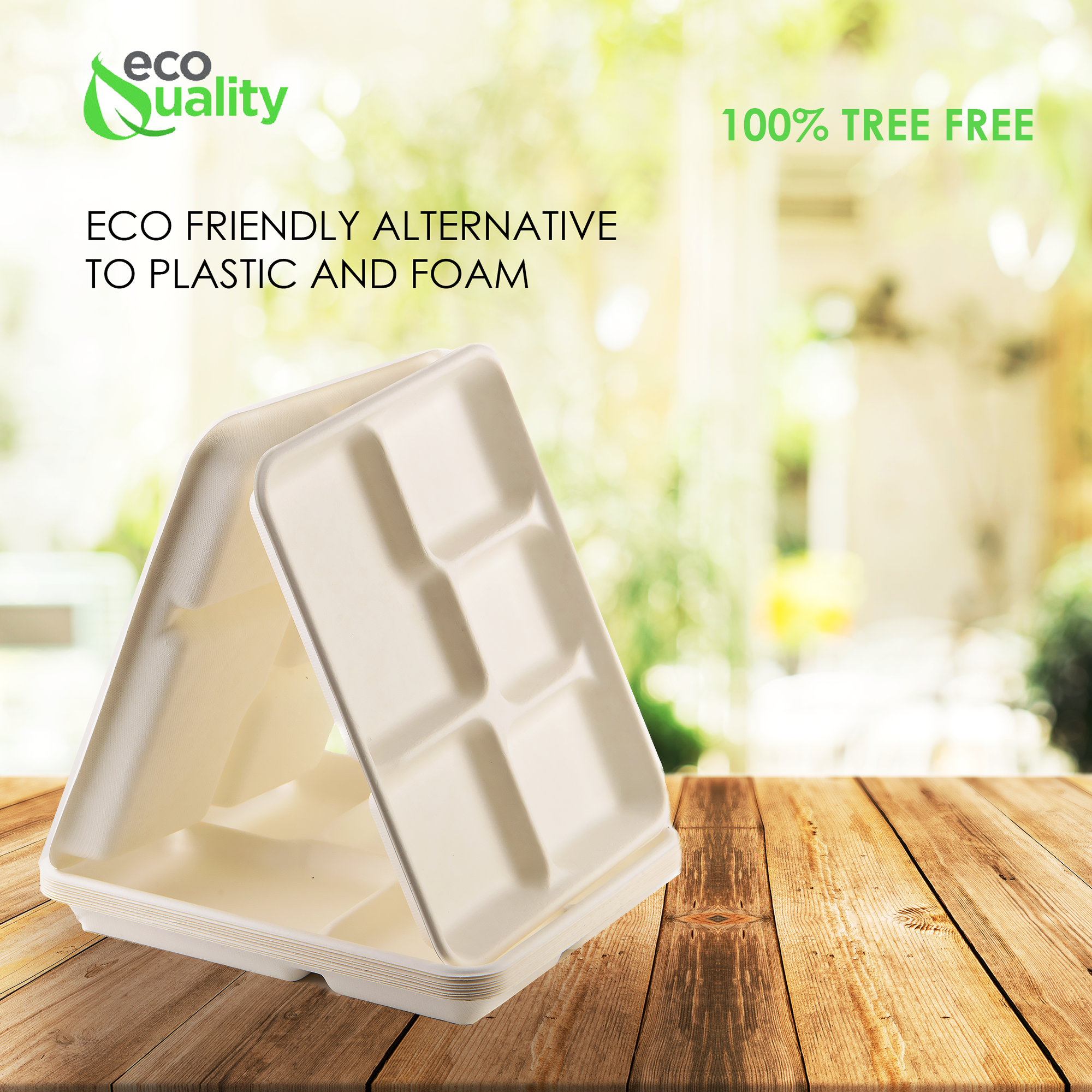 EcoQuality - Vente Assiette jetable - Plateau jetable compostable en fibre de pulpe de canne à sucre à 5 compartiments (25,4 x 21,1 x 2,3 cm)5