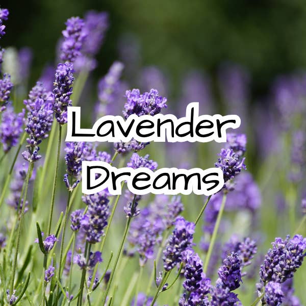 Lavender Dreams Candle - Relaxing - Calming - Sleepy for wholesale by The Cabin Boutique Co