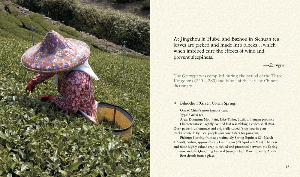 Independent Publishers Group - Wholesale Cookbooks & Food - All the Tea in China3