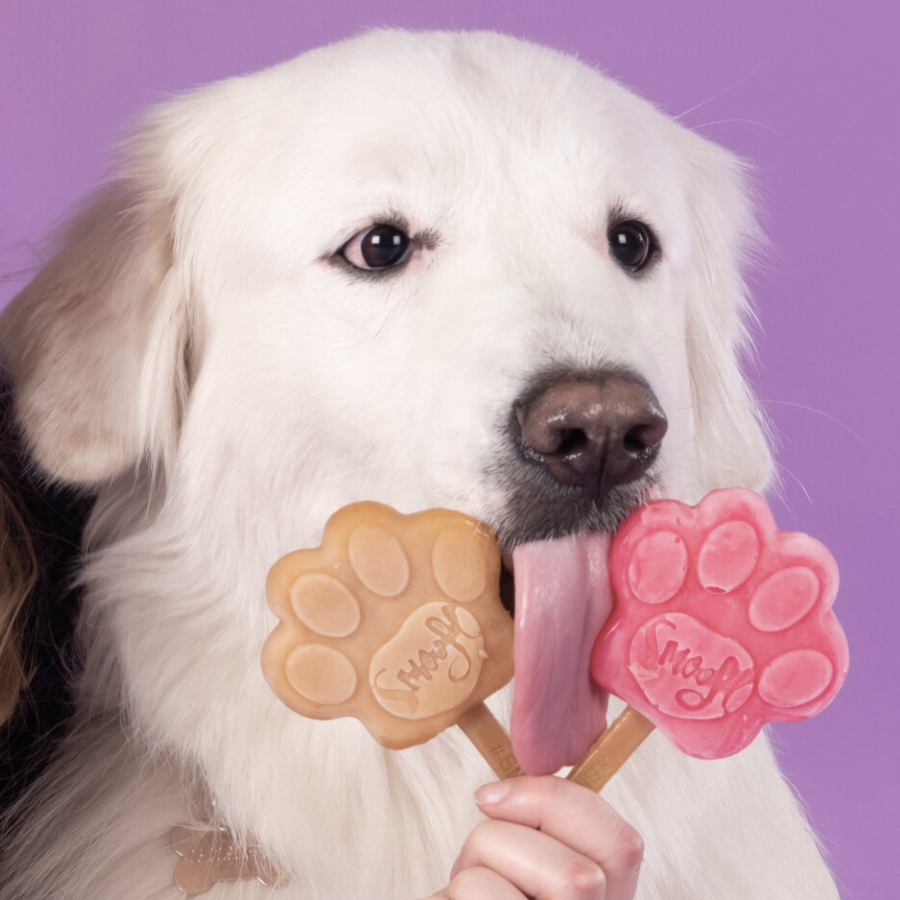 Smoofl - Wholesale Pet Supplement - Dog - Medium starter kit for dog ice1