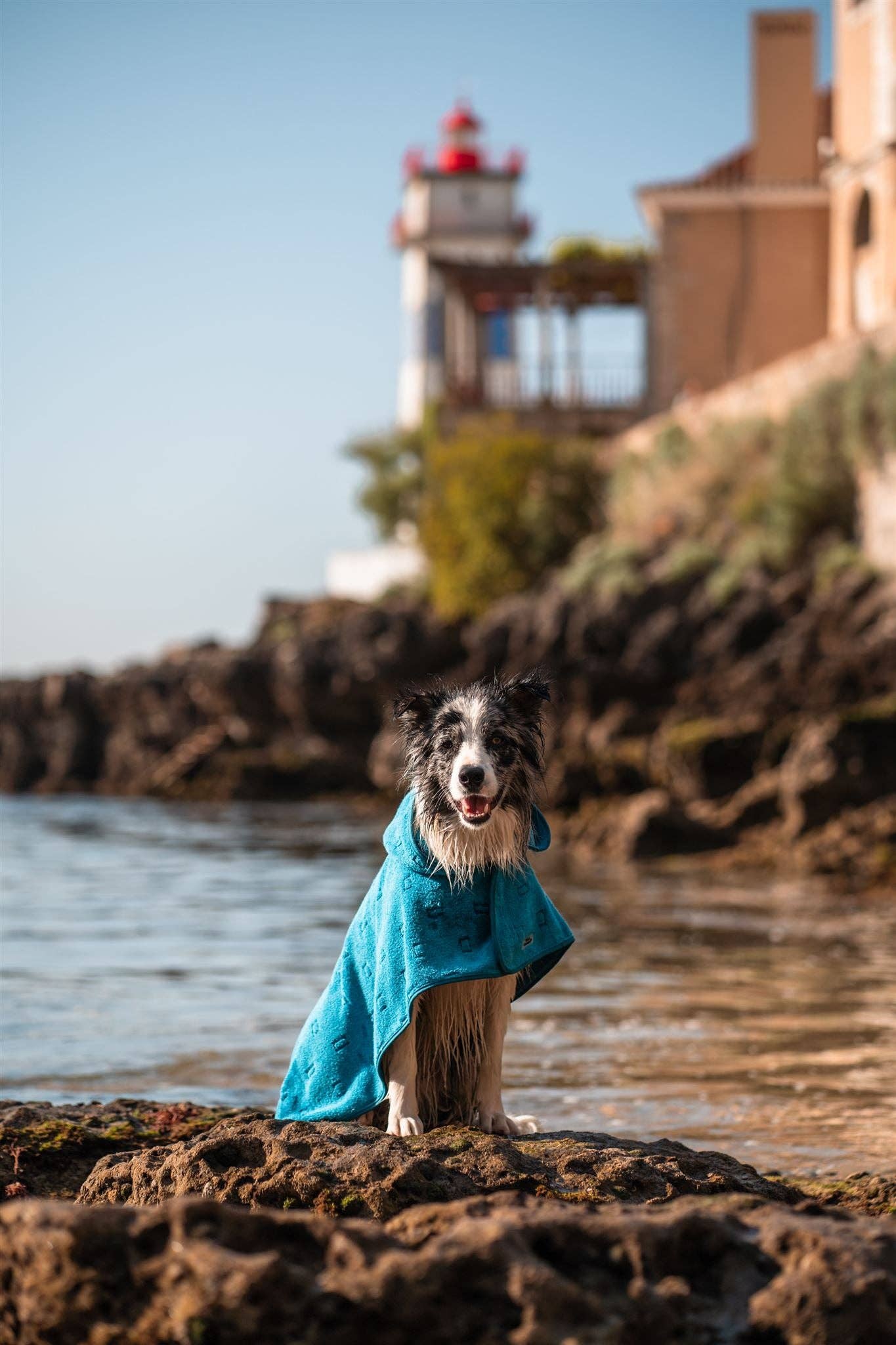 Tata’s Concept – Poncho para cão - Cão por atacado – Ponchos 1ª Edição (2022)3