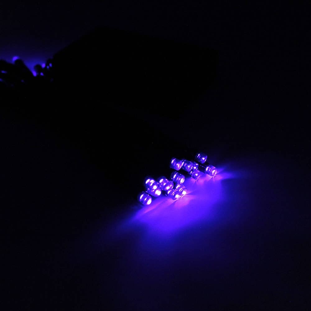 Perfect Holiday - Wholesale String Lights - 30 LED String Light Battery Operated - Black Wire - Purple1