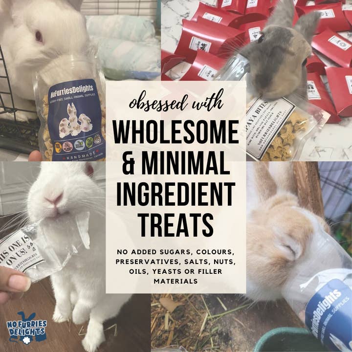 No Furries Delights - Wholesale Pet Supplement - Not Cat/Dog - Banana Apple Bites (50g | 1.76oz)Â