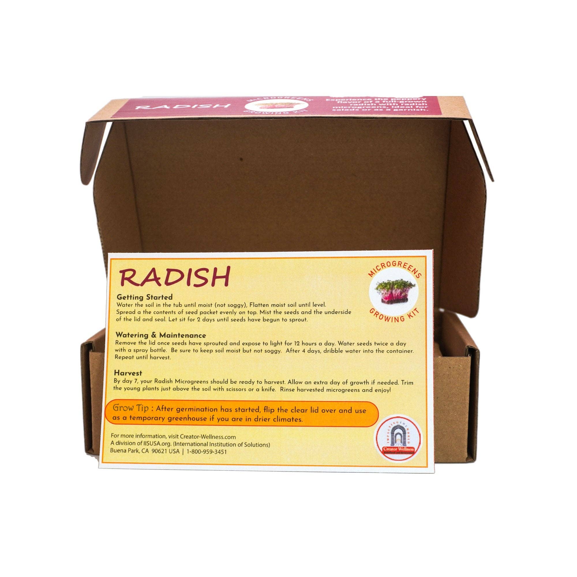 Creator Wellness - Wholesale Plant Seeds - Radish Microgreen Growing Kit, Quick Harvest in 10 Days4