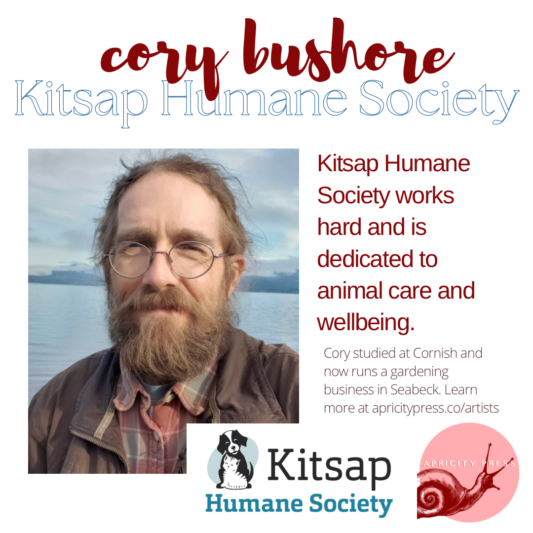 Apricity Press – wholesale Everyday greeting card – Old Man Mushroom Card - Cory Bushore series1