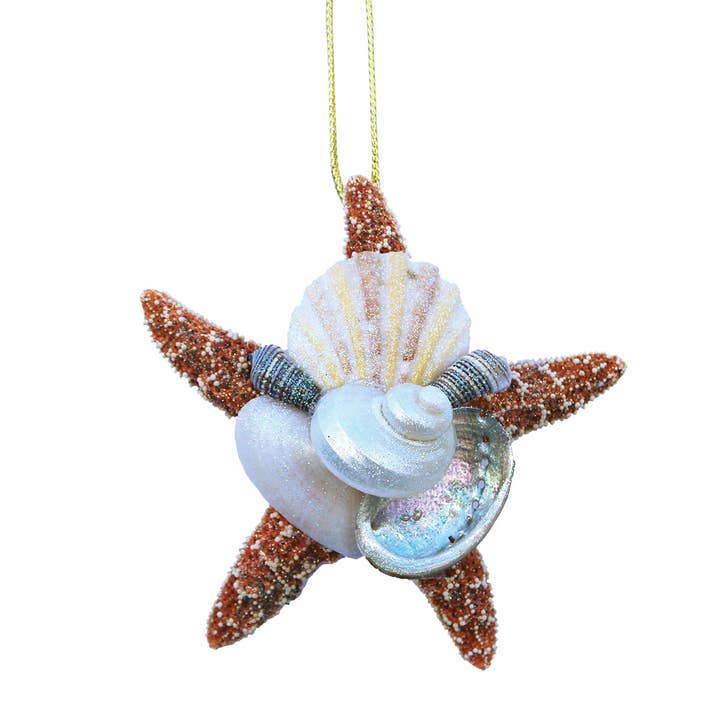 Sugar Starfish Collage Ornament for wholesale by California Seashell Company