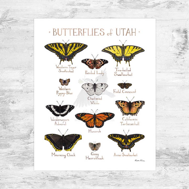Utah 8x10 Butterflies Field Guide Art Print for wholesale by Kate Dolamore Art